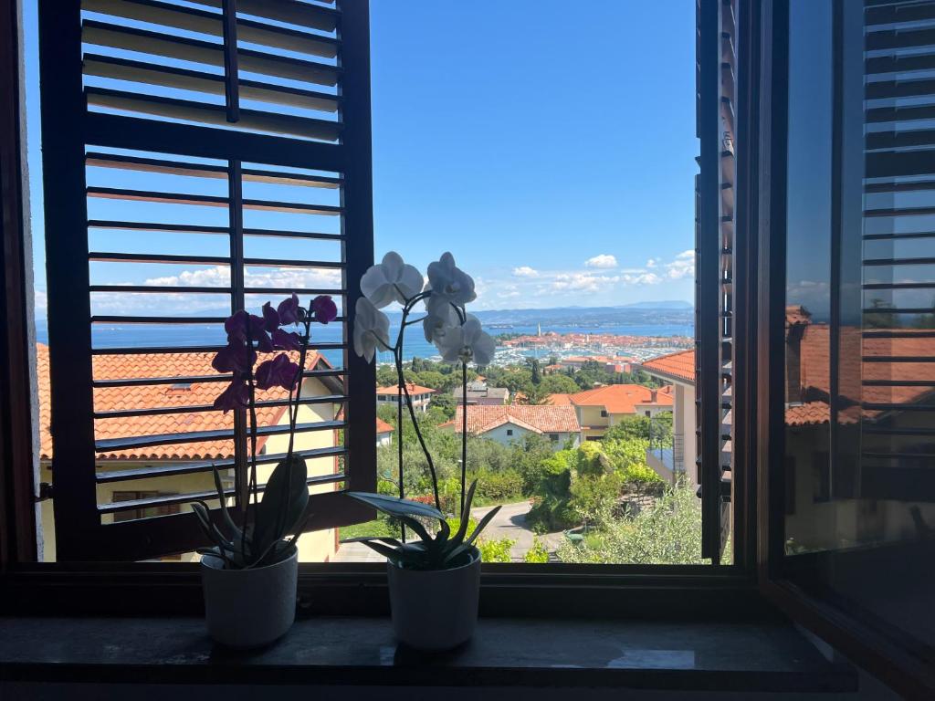 two plants sitting on a window sill with a view at Villa Maris Izola in Izola