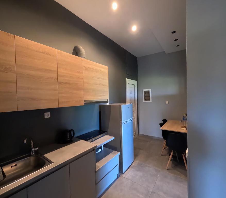 Kuchyňa alebo kuchynka v ubytovaní Filoxenia Luxury Studios & Apartments