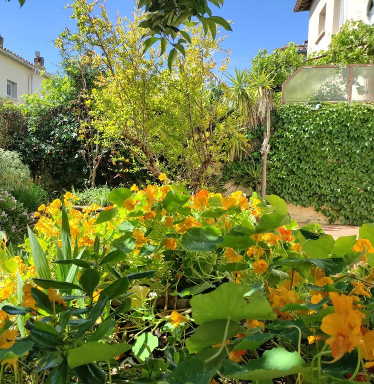 un jardin avec des fleurs jaunes et orangées dans une cour dans l'établissement Les Papillons, à Perpignan