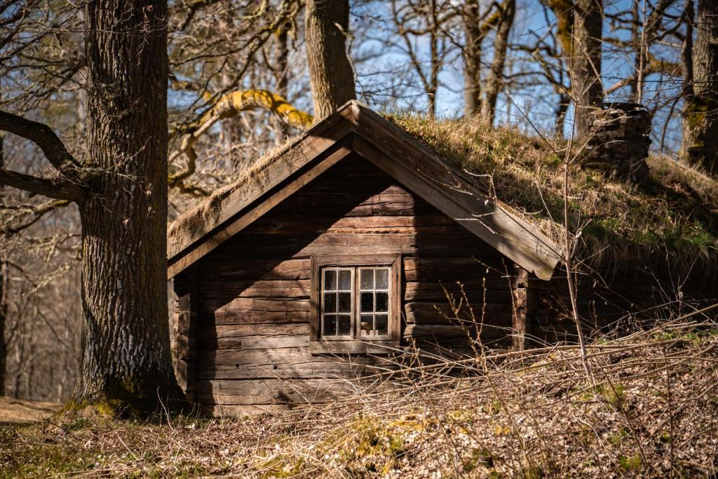Příroda nedaleko hostelu