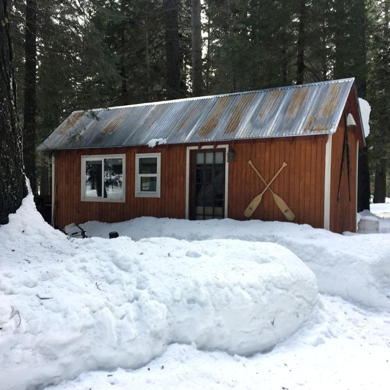 Galeriebild der Unterkunft Rustic Tiny Cabin Nestled in the Woods for an Off-Grid Escape in Nature in Nevada City, California in Nevada City
