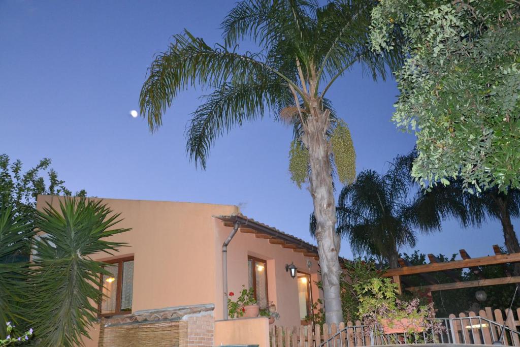 a palm tree in front of a house at Villa Carati in Acireale