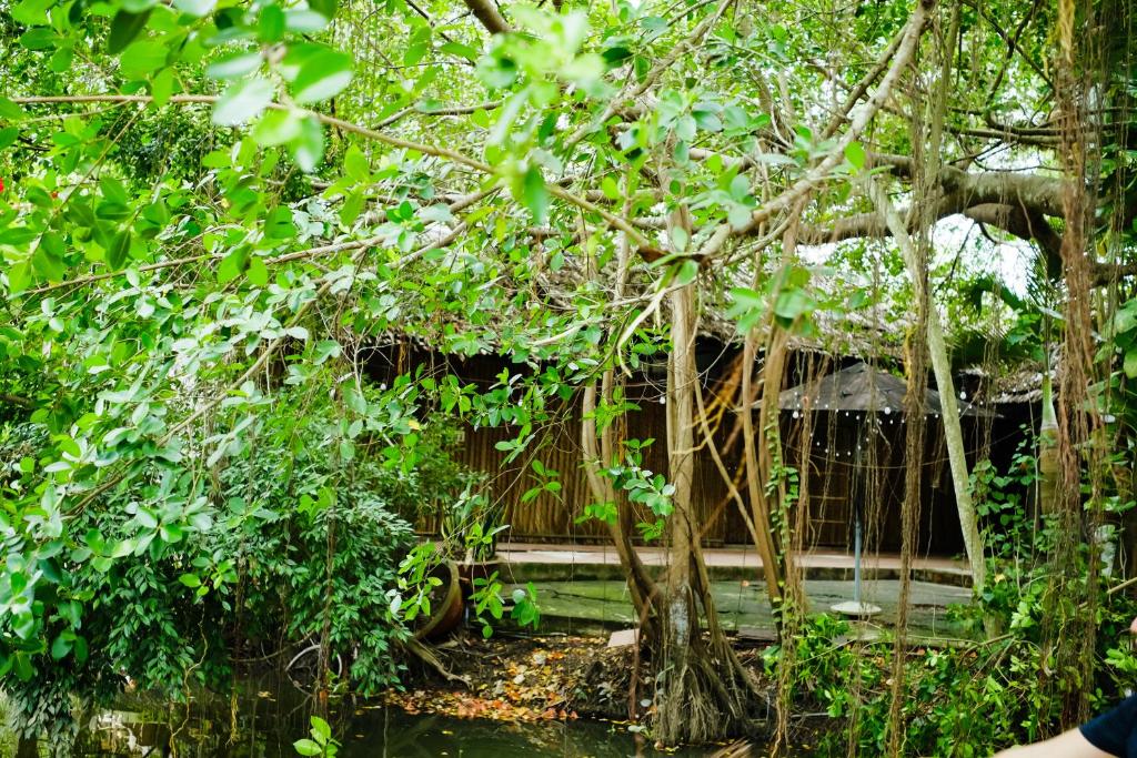 Zahrada ubytování Dan Sinh Homestay