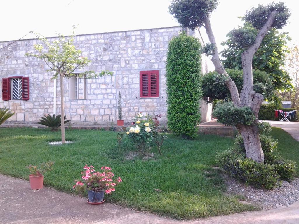 Zahrada ubytování B&B Tenuta Ranieri