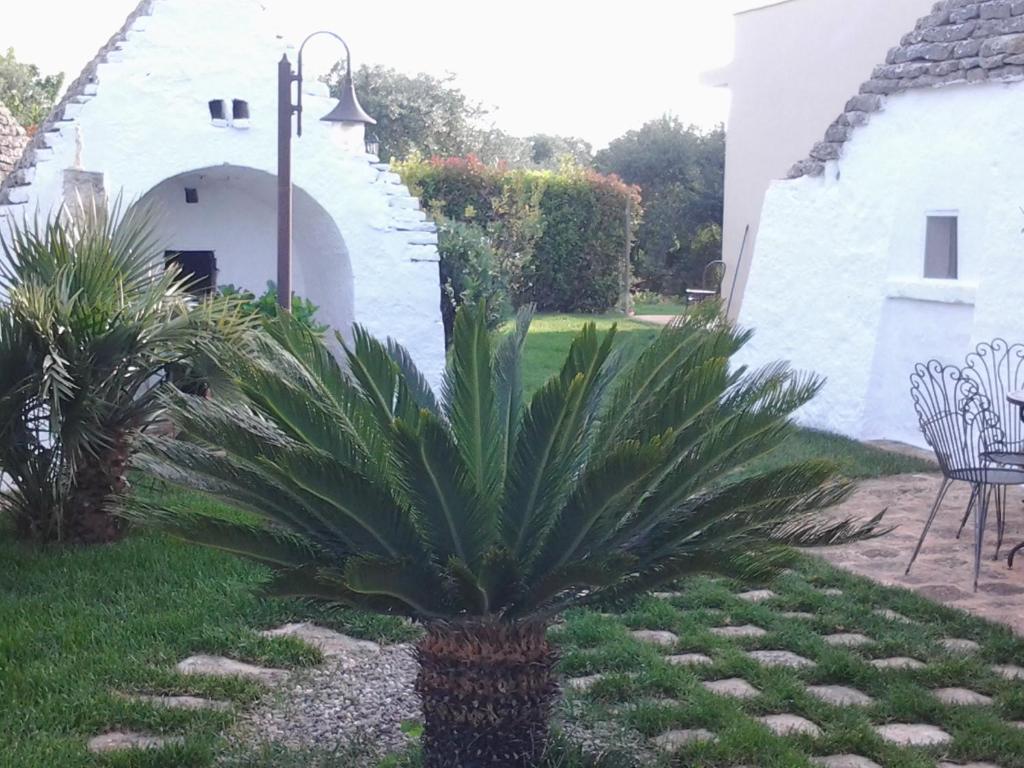 Zahrada ubytování B&B Tenuta Ranieri