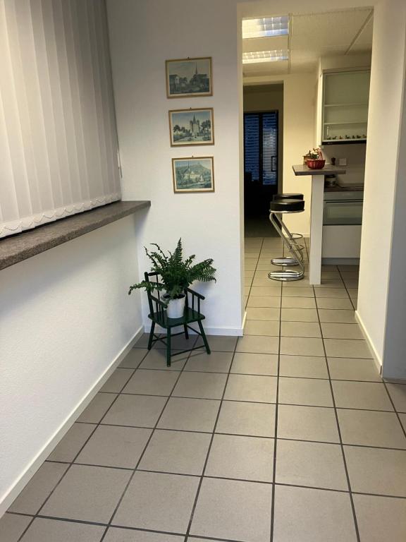 un pasillo con una mesa y una maceta en Wohnoase mit gratis Parkplatz, en Basilea