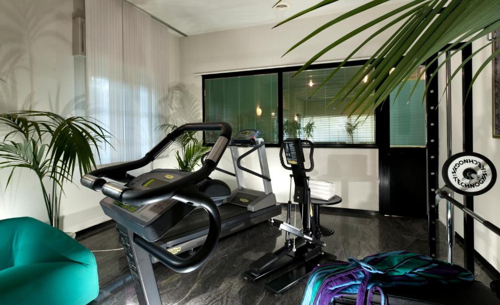 Fitness centrum a/nebo fitness zařízení v ubytování Hotel Cormoran