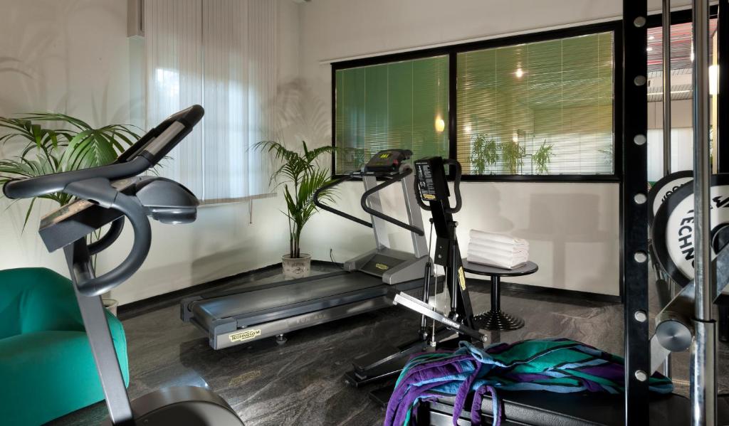 Fitness centrum a/nebo fitness zařízení v ubytování Hotel Cormoran