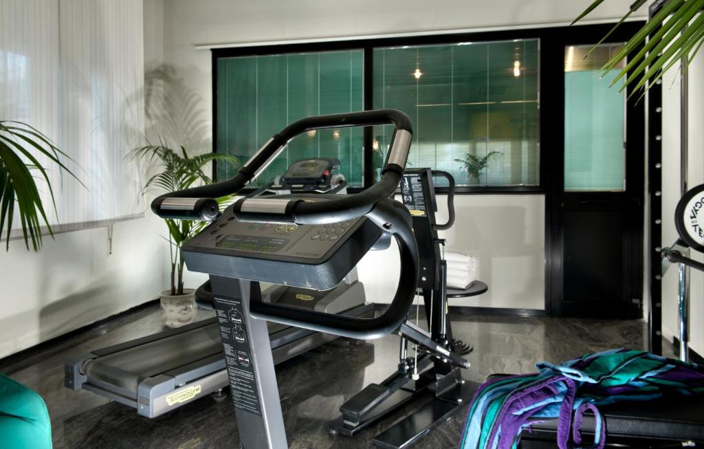 Fitness centrum a/nebo fitness zařízení v ubytování Hotel Cormoran