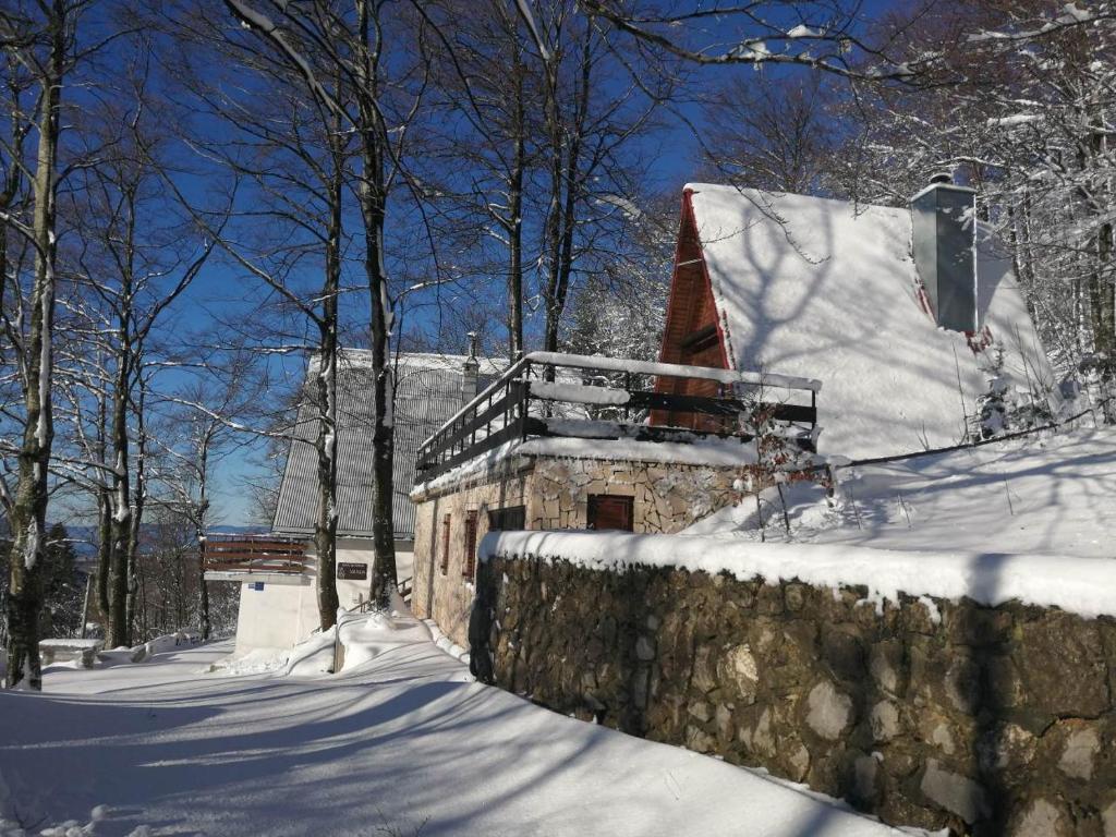 Planinska kuća BRDO v zimě