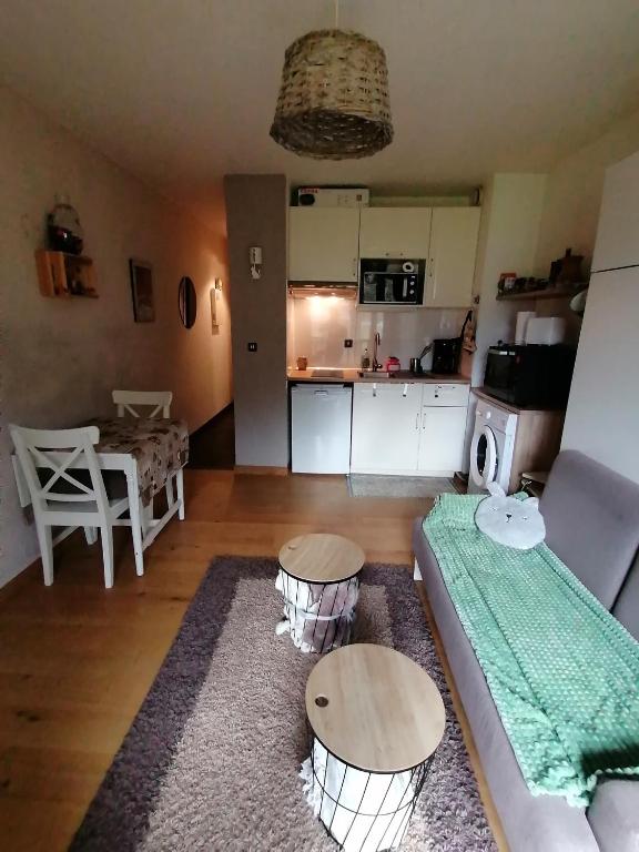 Kuchyň nebo kuchyňský kout v ubytování Appartement balcon vue pré et montagne