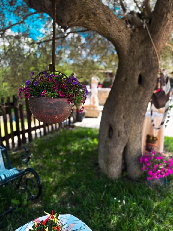 Zahrada ubytování Agriturismo Le Faeta