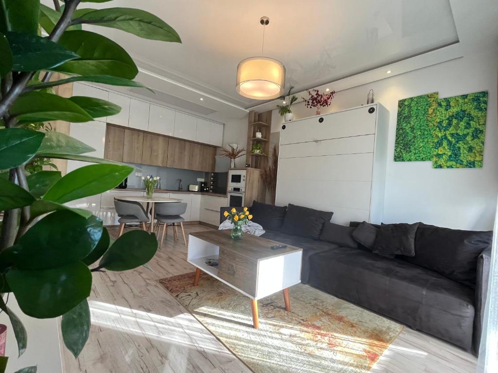 Kuchyňa alebo kuchynka v ubytovaní Cozy apartment