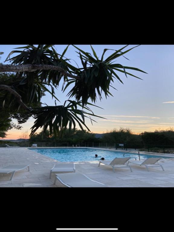 un groupe d'oiseaux assis dans une piscine dans l'établissement Duplex La Vigie Kensington Pool Sea Vineyard View, à La Croix-Valmer