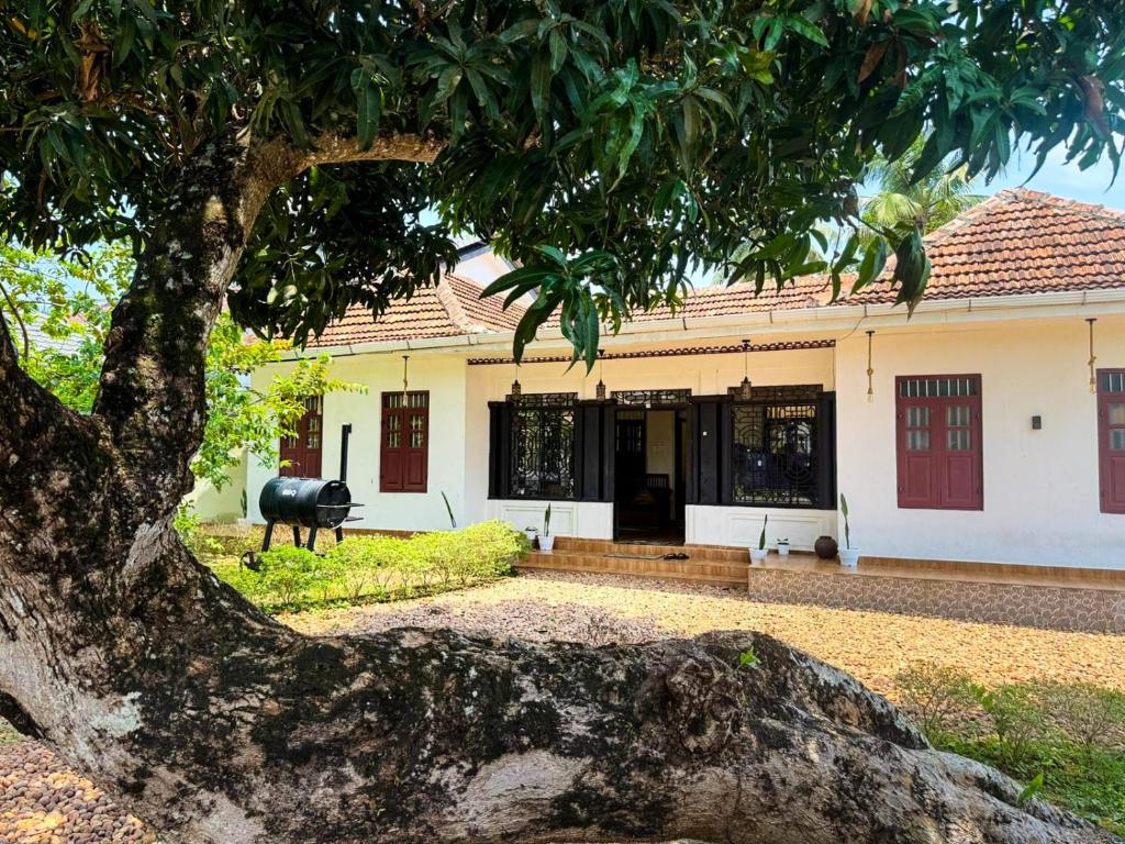 un edificio con un albero di fronte di Mangowoodsheritage a Venkatāpur