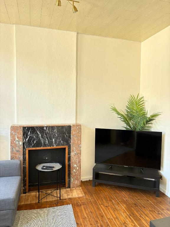 TV a/nebo společenská místnost v ubytování petit appartement Huy centre