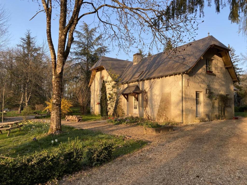 an old stone building with a tree and a dirt road at Gîte douillet en forêt d'Amboise, parc boisé 2.5 ha, cheminée, vélos, WiFi, jardin privé, animaux acceptés - FR-1-381-457 in Souvigny-de-Touraine