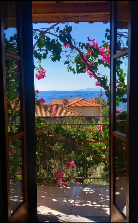 Ifigenia's Rooms - 11