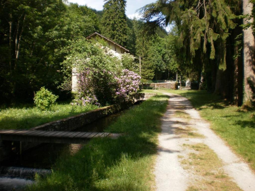 polna droga obok rzeki z drzewami w obiekcie Le gite de cals haut w mieście Lacombe
