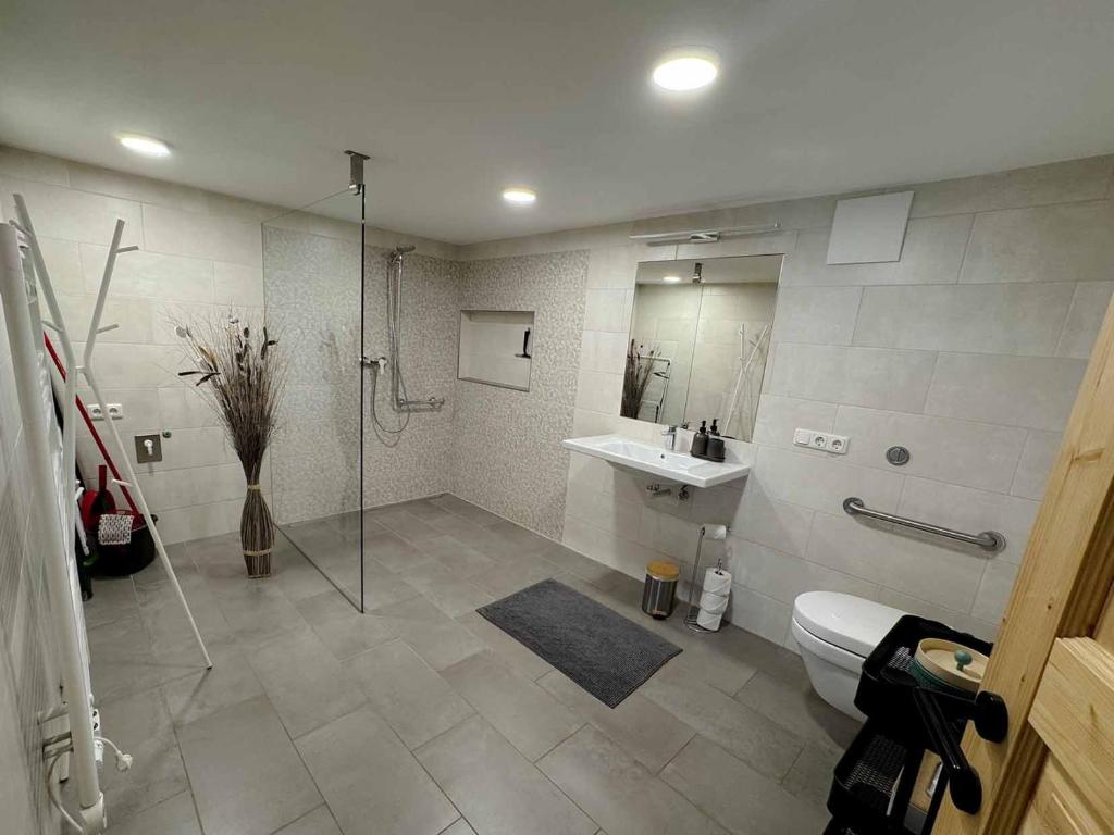 a bathroom with a shower and a toilet and a sink at Ferienwohnung Stoablick - barrierefrei mit Bergblick in Bad Goisern