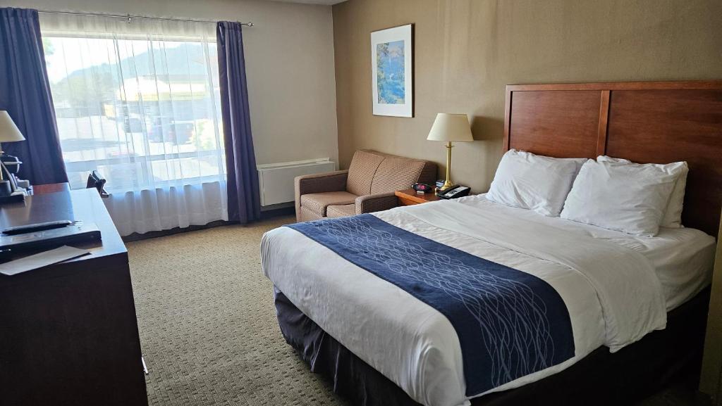 Postel nebo postele na pokoji v ubytování Comfort Inn