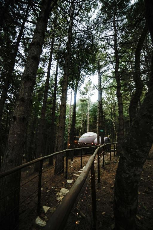 Příroda nedaleko luxury tent
