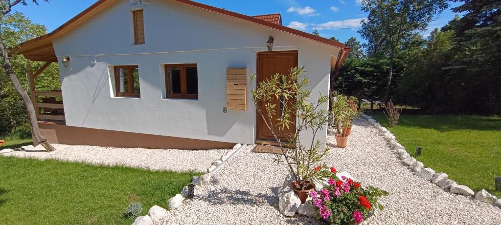 Zahrada ubytování Hilltop Cottage in Szentendre, mountain view, terrace, garden