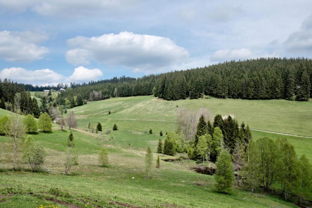 Příroda nedaleko apartmánu