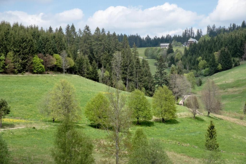 Příroda nedaleko apartmánu