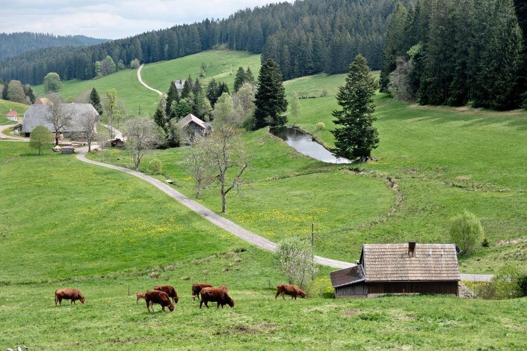 Příroda nedaleko apartmánu