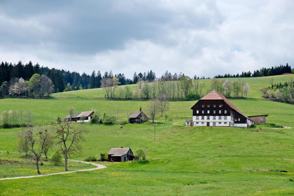 Příroda nedaleko apartmánu