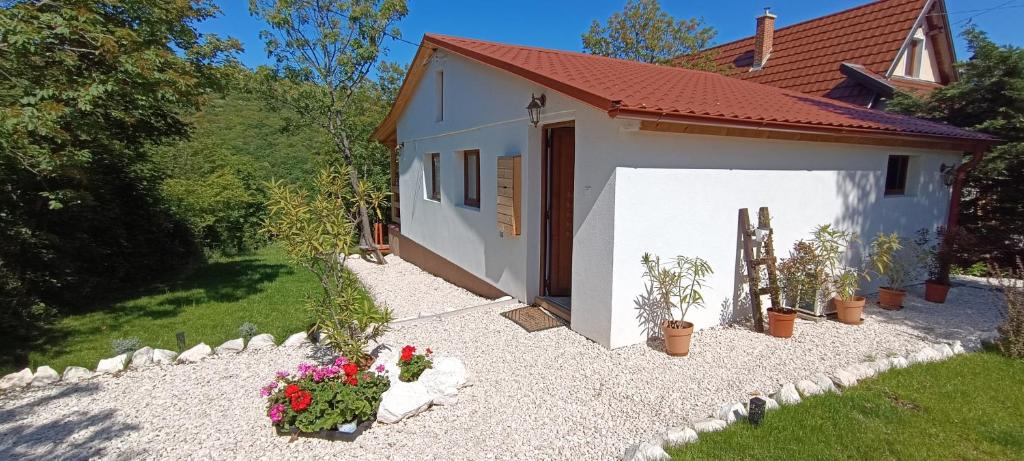 Zahrada ubytování Hilltop Cottage in Szentendre, mountain view, terrace, garden