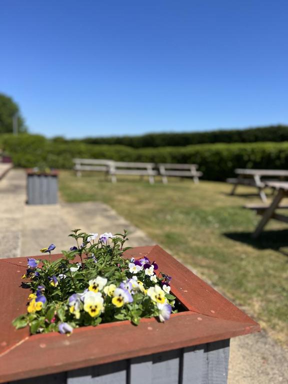 The Parson Woodforde - Resim 4