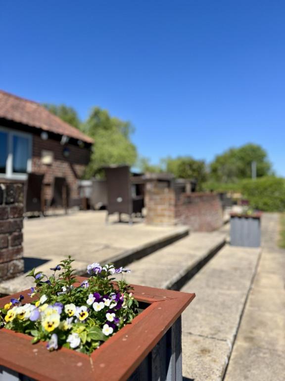 The Parson Woodforde - Resim 3