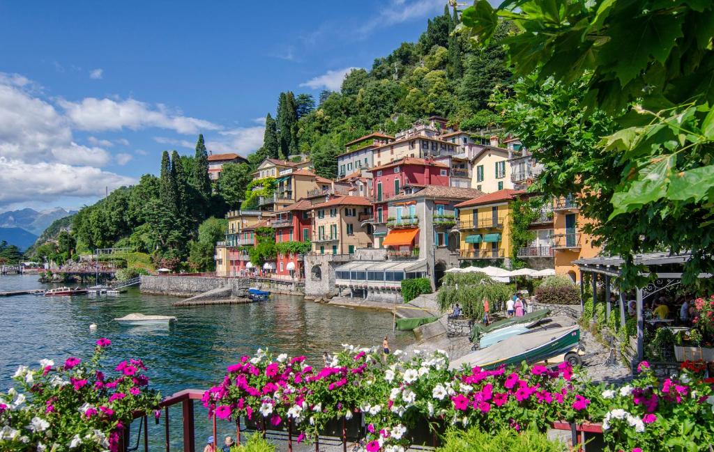 Bellavista garden and flowers photo