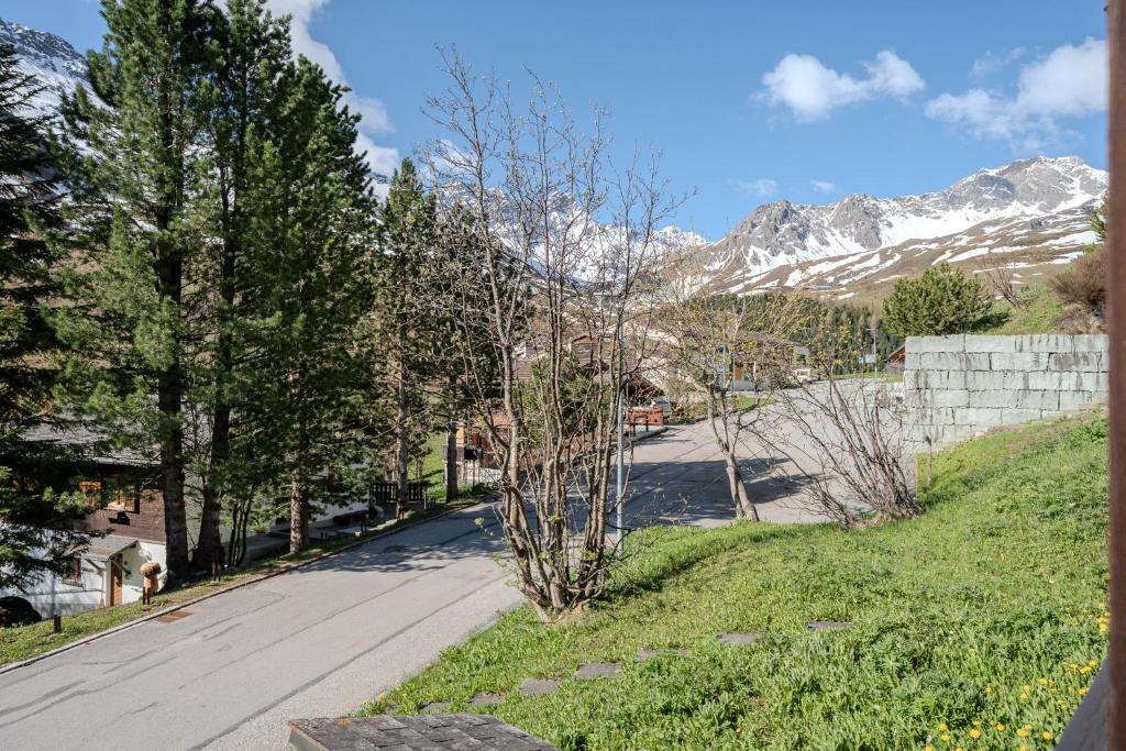 Příroda nedaleko apartmánu