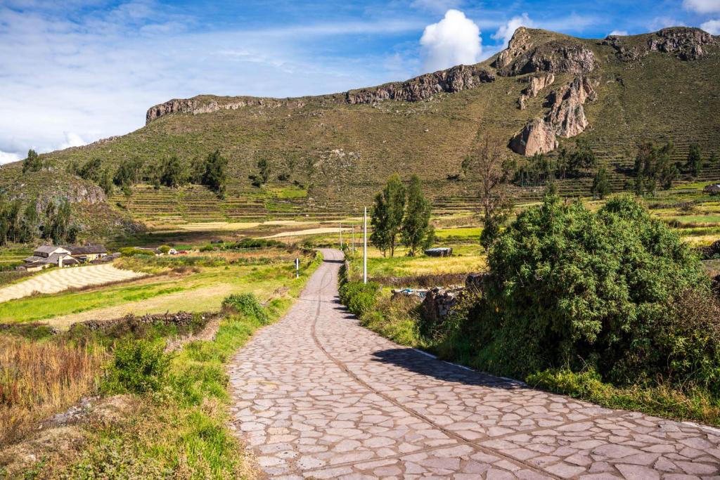 Colca Casa Las Flores - Single Room