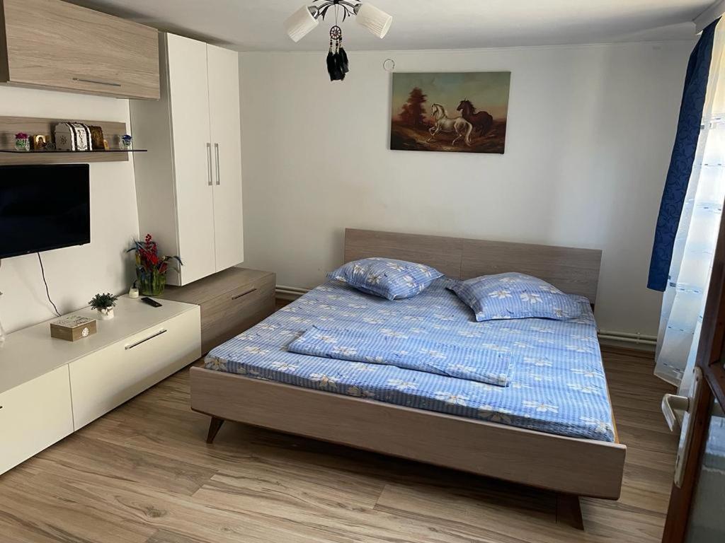 ein Schlafzimmer mit einem Bett und einem Flachbildfernseher in der Unterkunft Căsuța Verde in 2 Mai