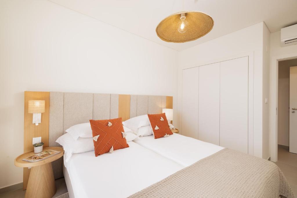 Flamingos Salgados - 11