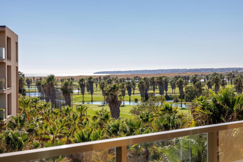 Flamingos Salgados - 13