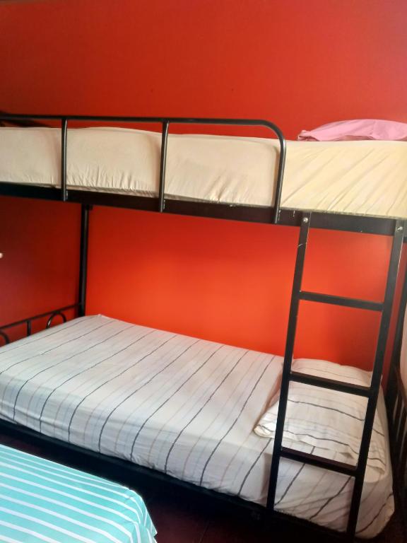 two bunk beds in a room with a red wall at Hostal Vista Boquete in Bajo Boquete