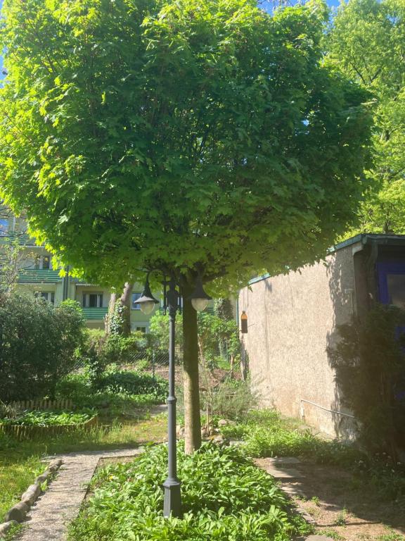 Wohnoase mit gratis Parkplatz - Resim 27