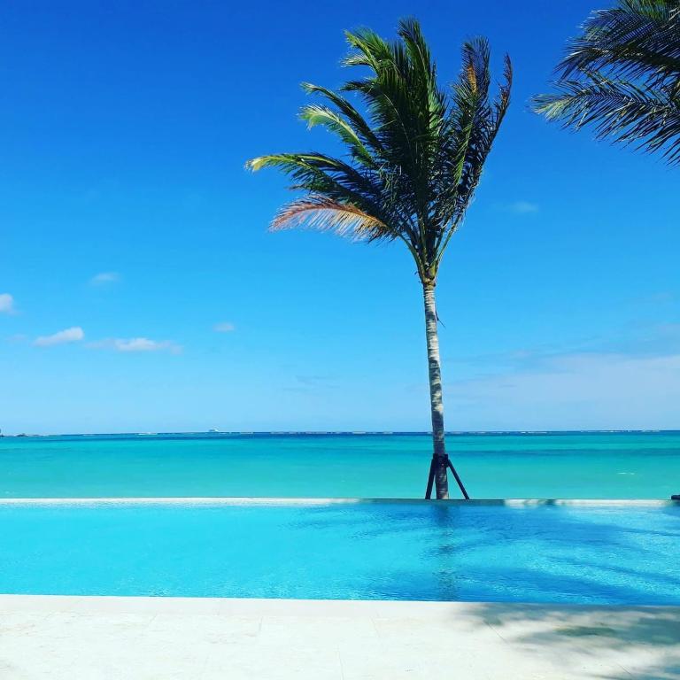 a palm tree sitting on the beach next to the ocean at Cable Beach Condo Large private patio with BBQ in Nassau