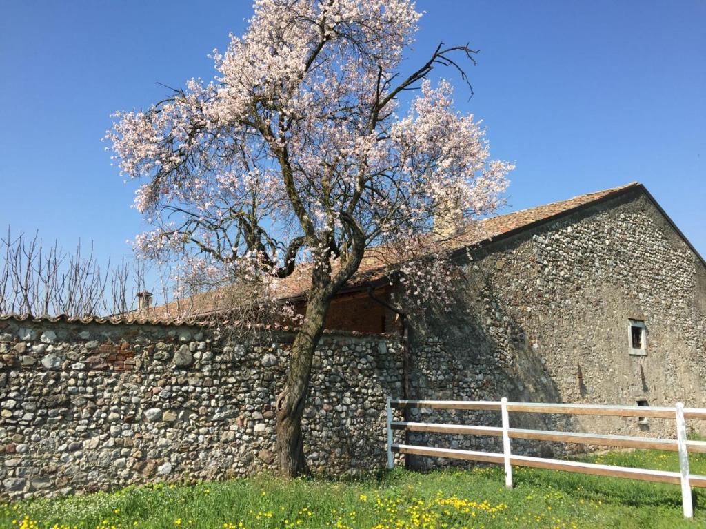 Fotografie z fotogalerie ubytování Antico Cascinale Lombardo v destinaci Lonato
