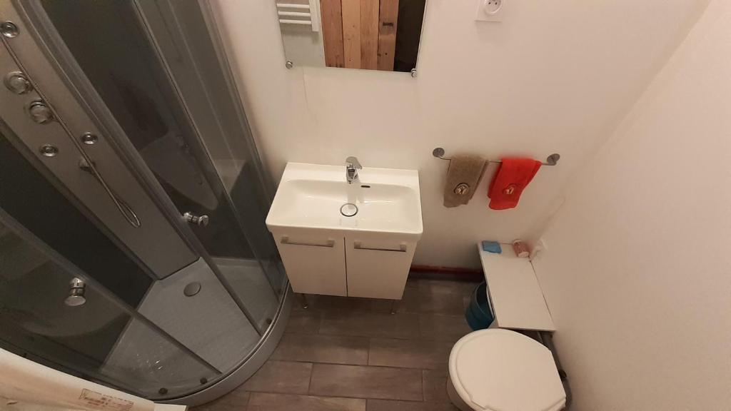 bagno con doccia, lavandino e servizi igienici di Tiny House du Pigeonnier a Baincthun