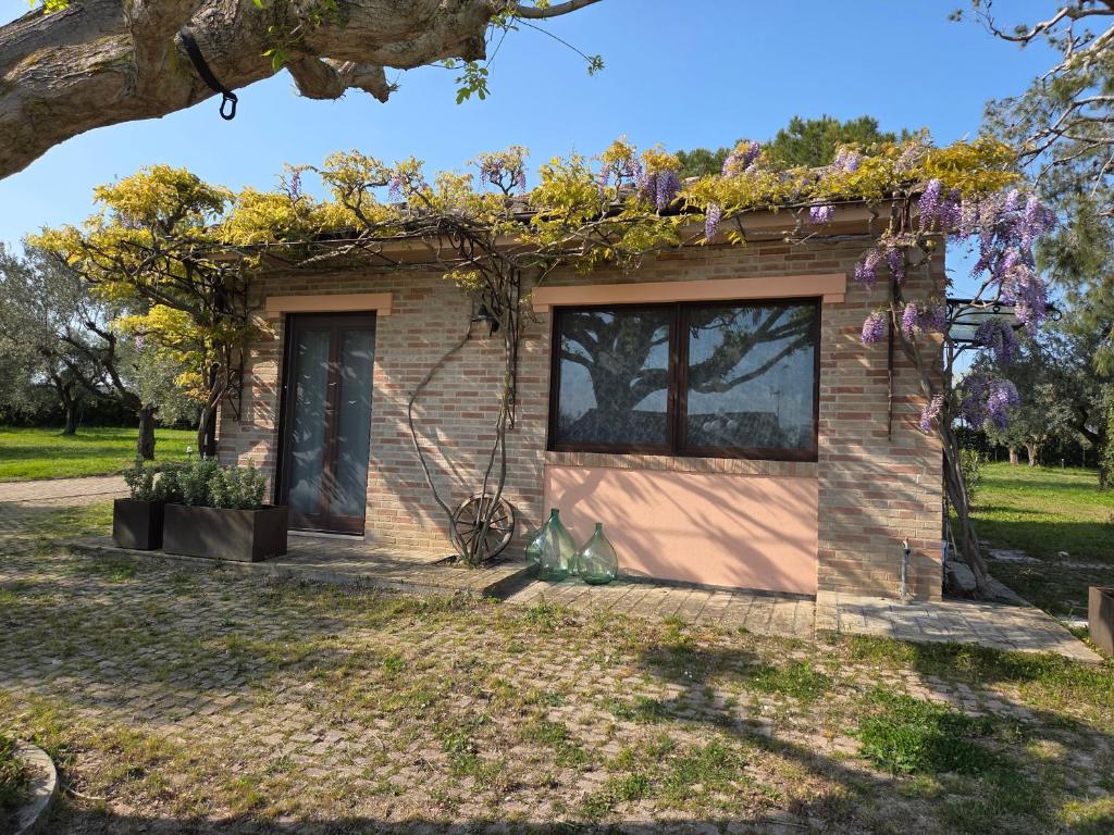Zahrada ubytování Casa Sabbatini