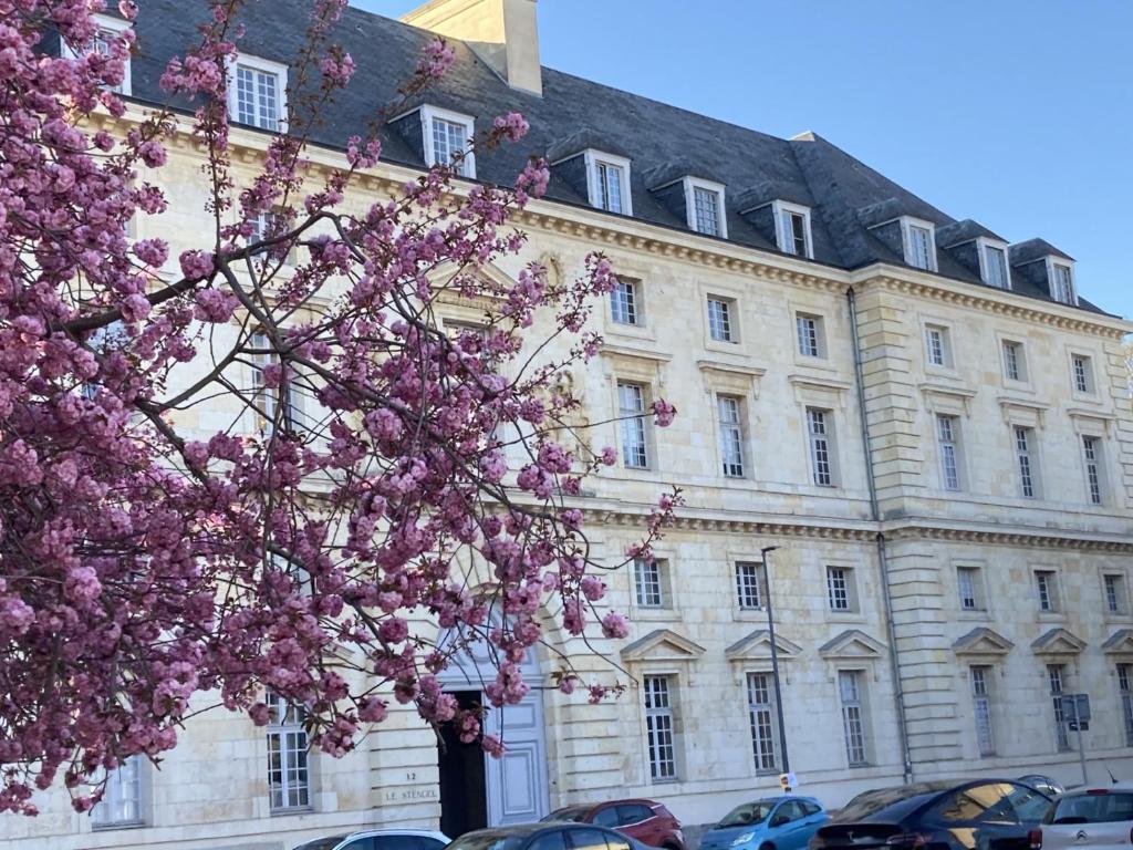 a building with a flowering tree in front of it at Appartement Design Centre Résidence Historique avec Parking in Amiens