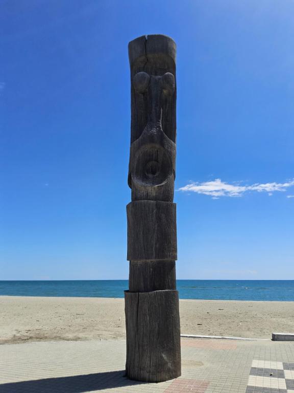 un totem en bois sur la plage dans l'établissement Le XV 4 People with sea view, au Barcarès