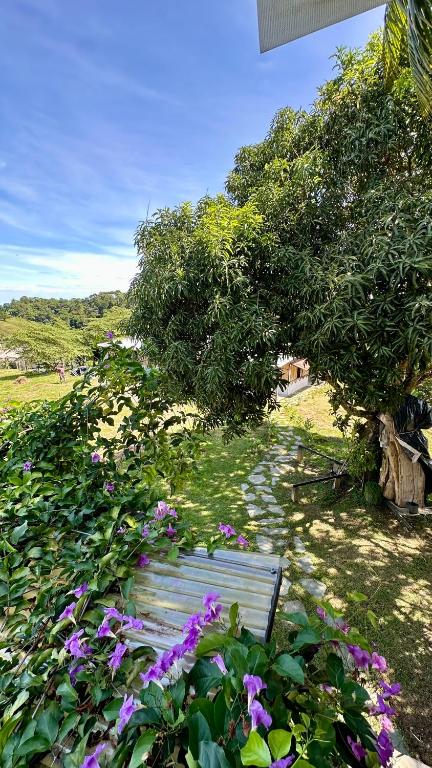 Zahrada ubytování Finca Hotel Doradal
