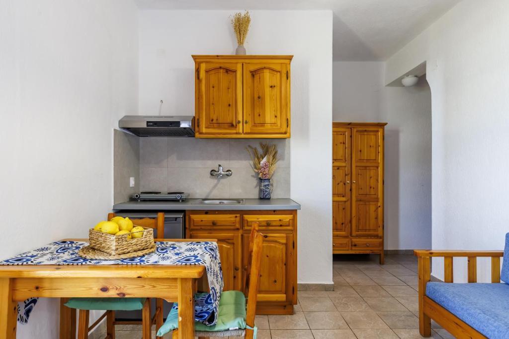 Kuchyň nebo kuchyňský kout v ubytování Nikolaos studios apartments